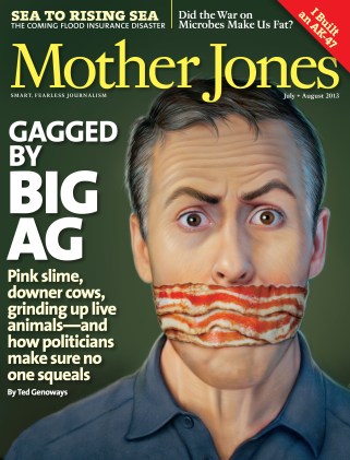 Mother Jones July/August 2013 Issue