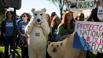 A person in a polar bear suit mimes crying at a pro-Arctic wildlife rally.
