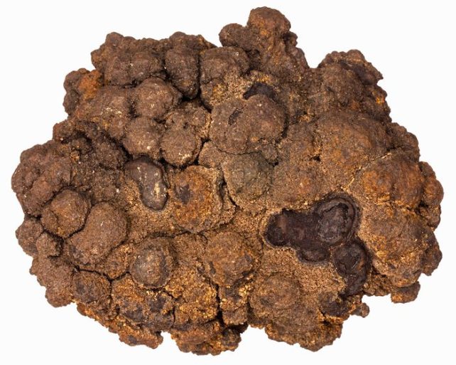 A brown rock of sorts from deep sea mining.
