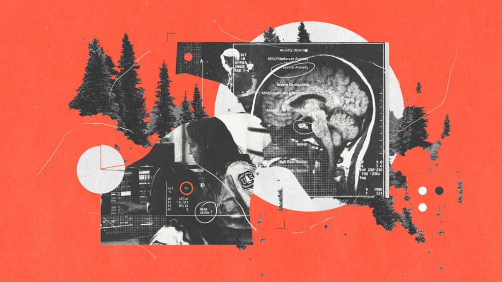 A collage include pine trees, a photo of a displatcher, and an x-ray of a head