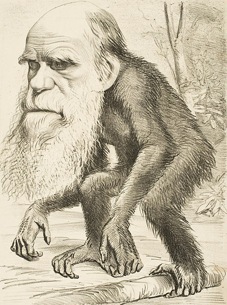 1871 satirical image depicting Charles Darwin as an ape. 