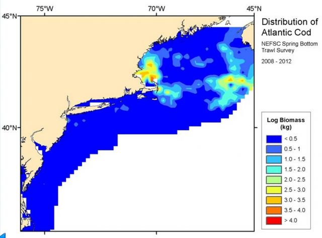 NOAA | NEFSC Ecosystem Assessment Program