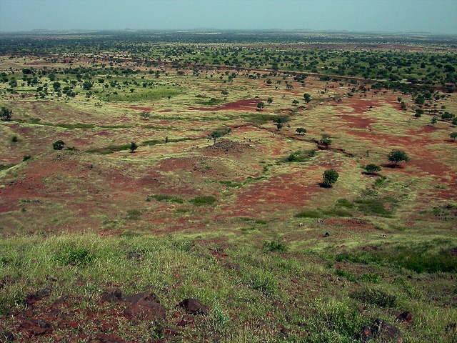 Sahel landscape: Center for International Forestry Research via Flickr