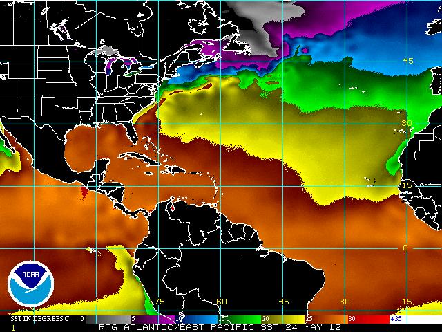 Sea surface temperatures in degrees Celsius. NOAA