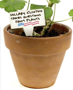 plants_for_hillary.jpg