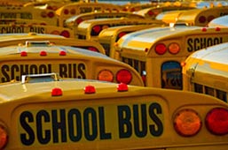 school-bus-170.jpg